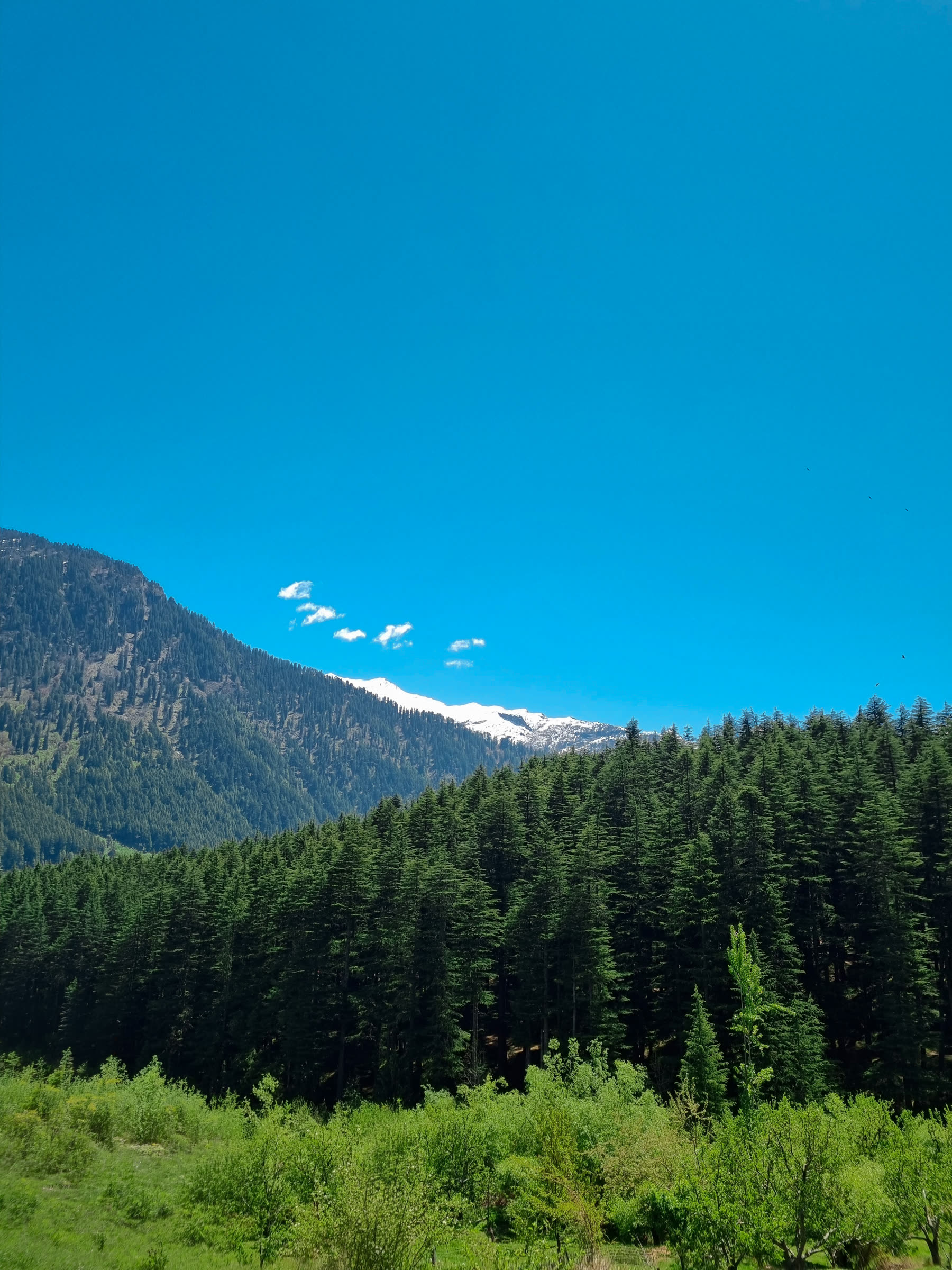 the same frame, colour graded