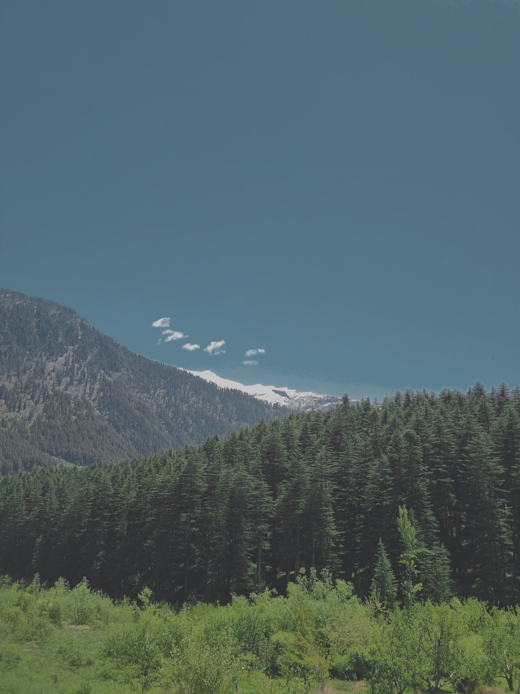 ungraded frame
